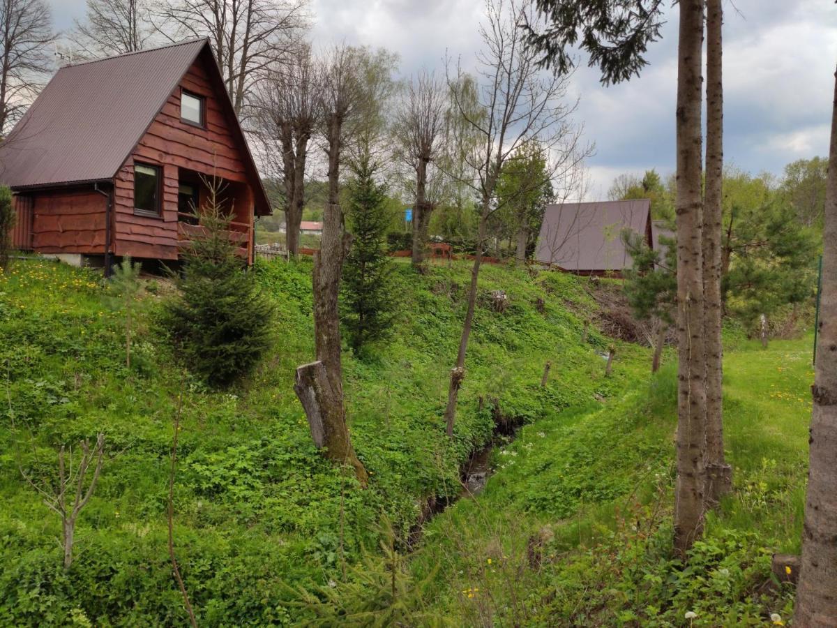 Villa Za Potokiem Solina  Esterno foto