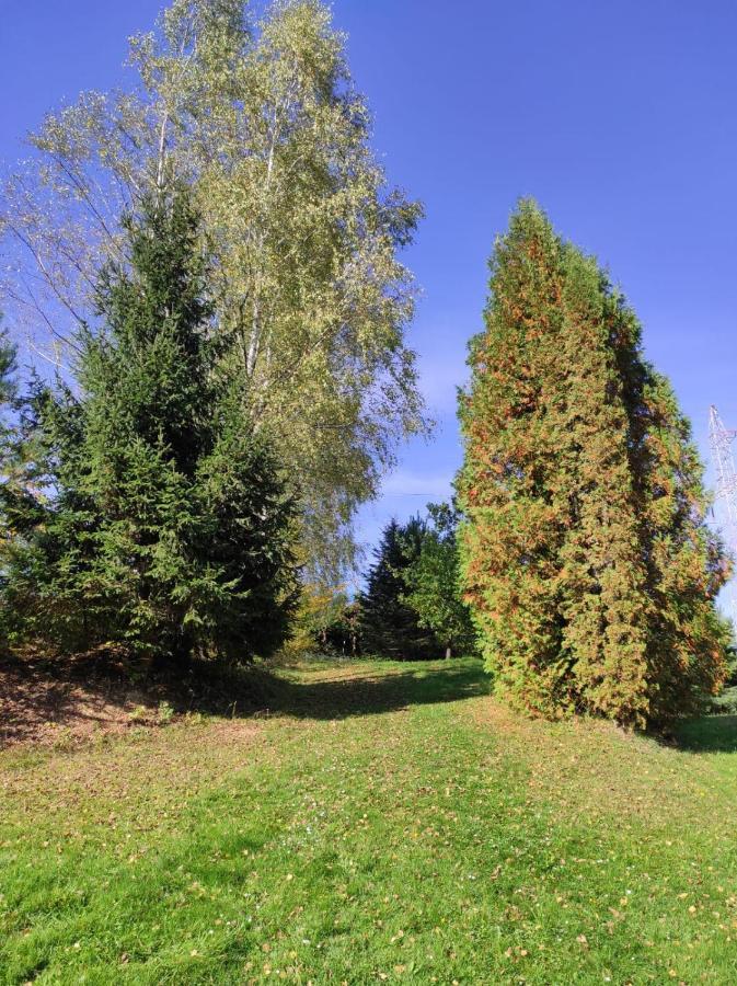 Villa Za Potokiem Solina  Esterno foto