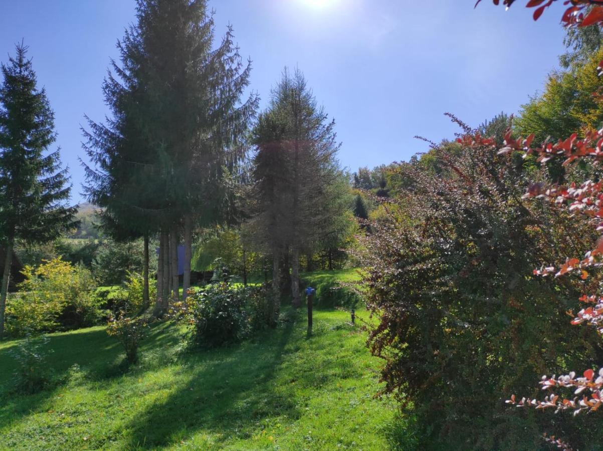 Villa Za Potokiem Solina  Esterno foto