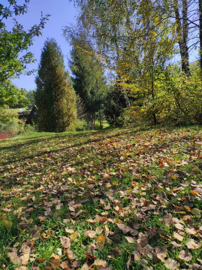 Villa Za Potokiem Solina  Esterno foto