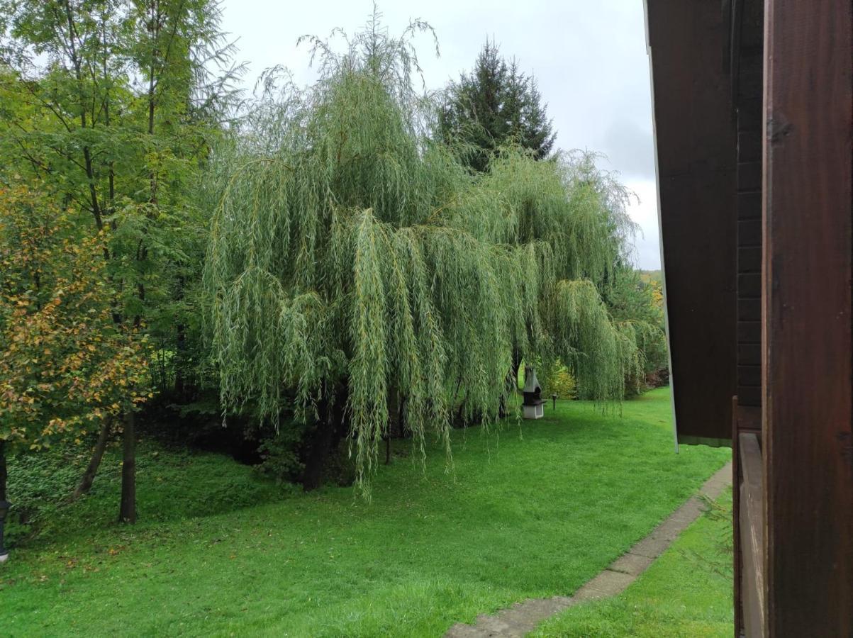Villa Za Potokiem Solina  Esterno foto