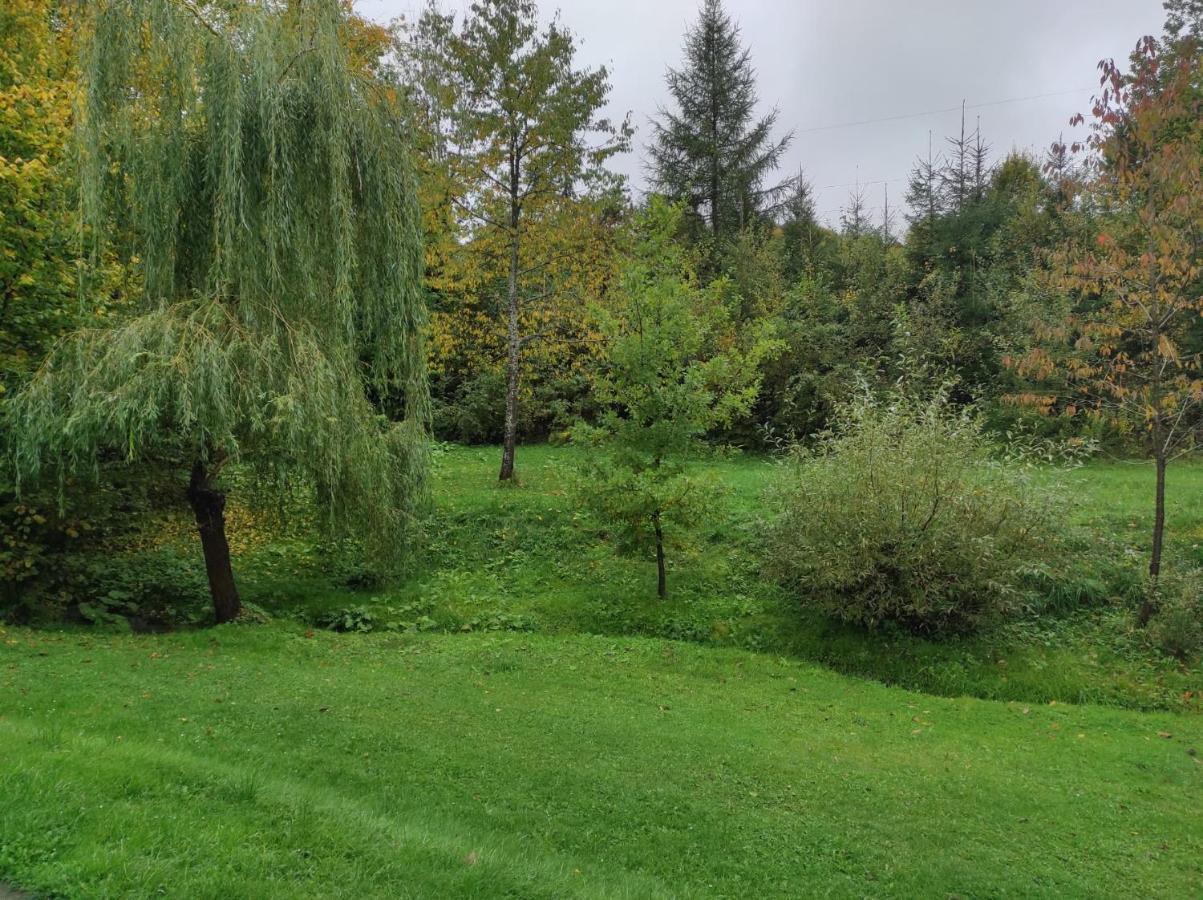 Villa Za Potokiem Solina  Esterno foto