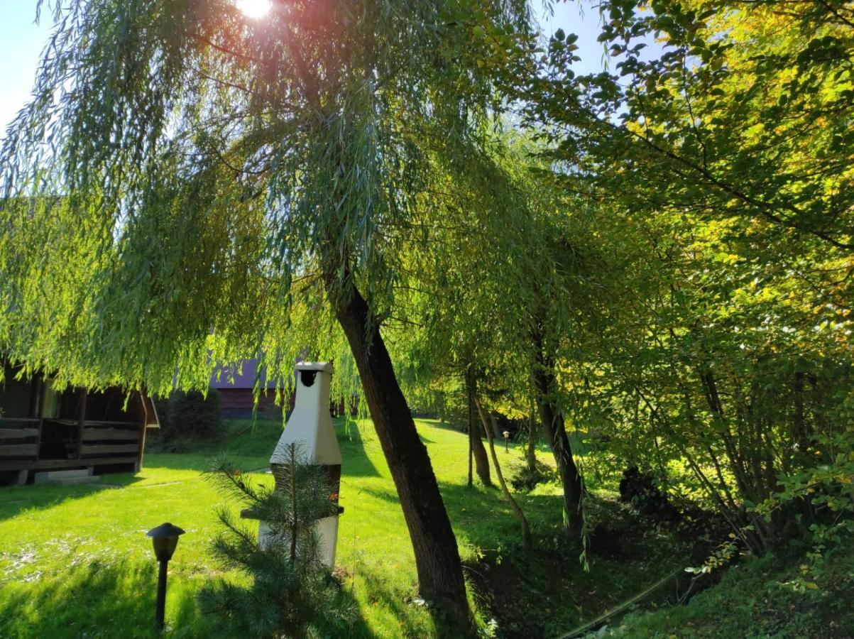 Villa Za Potokiem Solina  Esterno foto