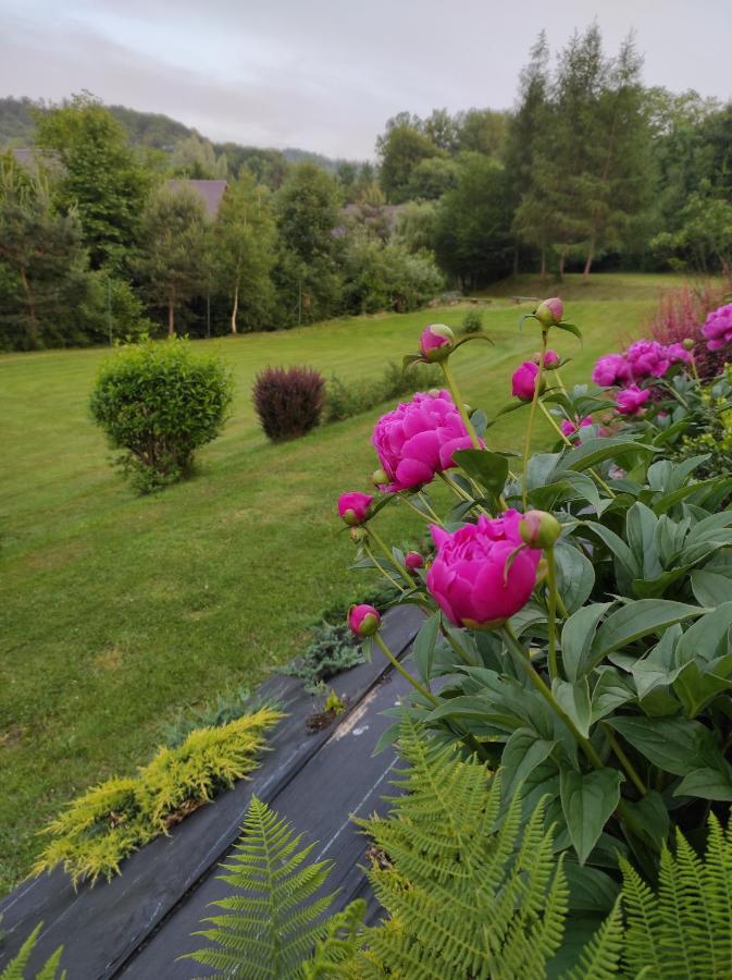 Villa Za Potokiem Solina  Esterno foto