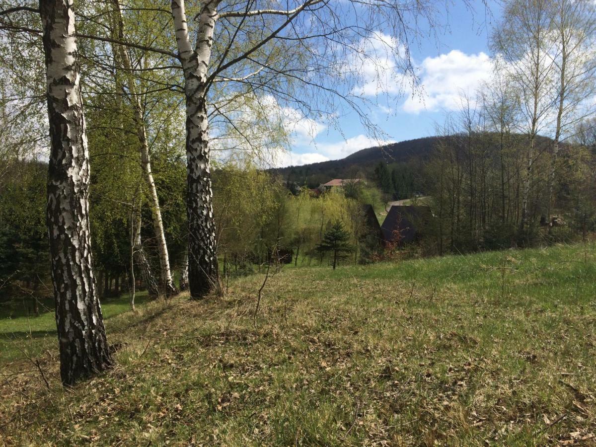Villa Za Potokiem Solina  Esterno foto